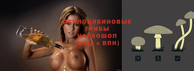 соль ск Вязники