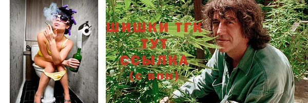 Альфа ПВП Вяземский