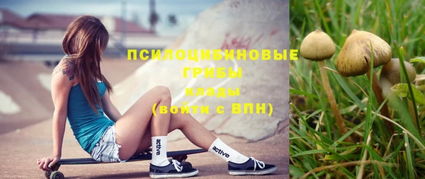 Альфа ПВП Вяземский