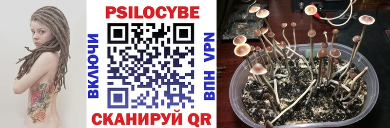 Галлюциногенные грибы мухоморы  Купить закладки  Ивдель 